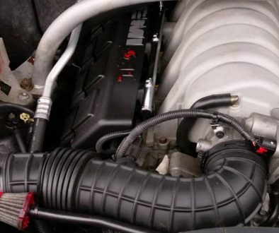 23845833_1601981969823259_2568992626151941345_o klein